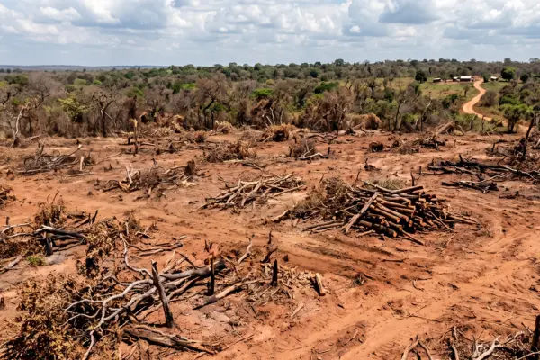 Fazendeiro é condenado a restaurar mais de 600 hectares de cerrado após fraude em Reserva Legal