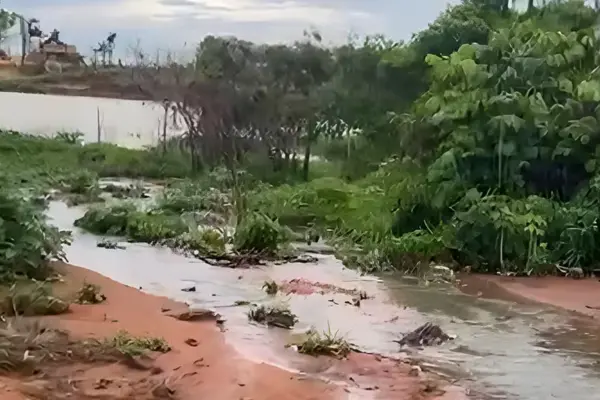 Foto: Prefeitura de Palmas/Divulgação